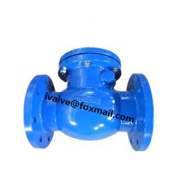 Cast Iron Swing Type Check Valve
