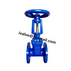 DIN Rising Stem Gate Valve