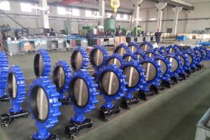 Tianjin Future Valve Co.,Ltd