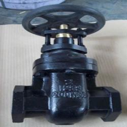 ANSI metal gate valve threaded ends