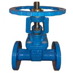 615-F BS resillient gate valve RS