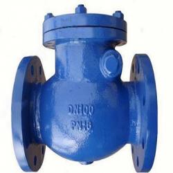 DIN swing check valve