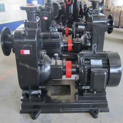 ZW horizontal self priming sewage pump