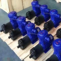 CQ-F engineering plastic PP magnetic drive pump