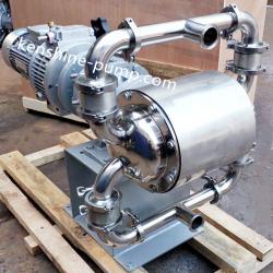 DBW food grade electric diaphragm pump