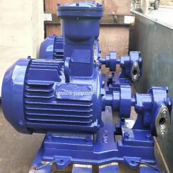 2CY Gear oil transfer pump