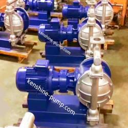 DBY stainless steel electric diaphragm pump