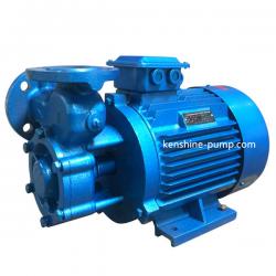 W single stage vortex pump