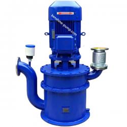 WFB Non-sealed automatic control self-priming vertical pump