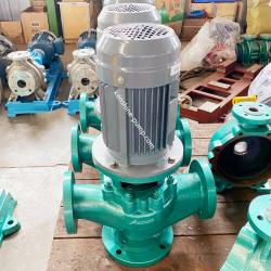 GDF vertical fluoroplastic liner pipeline pump