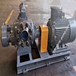 HW double entry twin screw pump for HFO