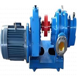 LC Roots rotor pump for high viscosity fluids