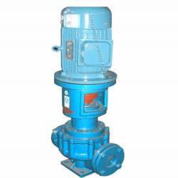 LRY Vertical heat conduction oil centrifugal magnetic pump