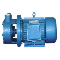 1W Single stage vortex pump