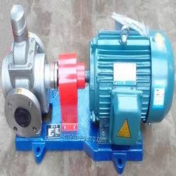 YCB Stainless steel circle arc gear oil transfer pump