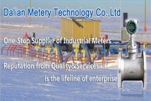 Dalian Metery Technology Co., Ltd.