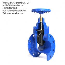 Resilient Seated Gate Valve - BS 5163 & DIN 3353 F4/F5 & ASME B16.10