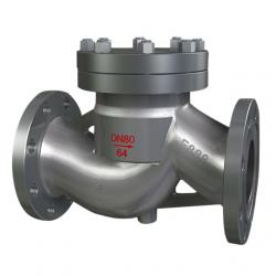 lift check valve