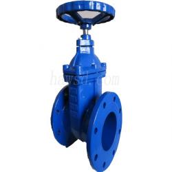 BS5163 Gate Valve