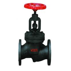 HT200 Globe Valve