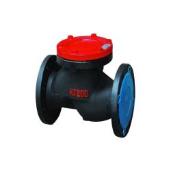 Swing Start Check Valve