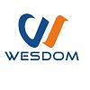 HENAN WESDOM FLOW CONTROL CO.LTD.'s Logo