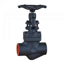 Forged steel Globe valve 800