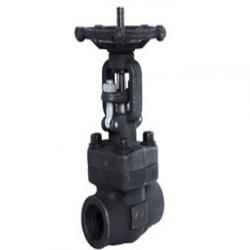 Forged Steel Gate Valve 