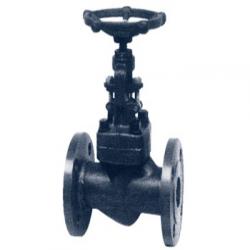  Forged Steel Globe Valve  